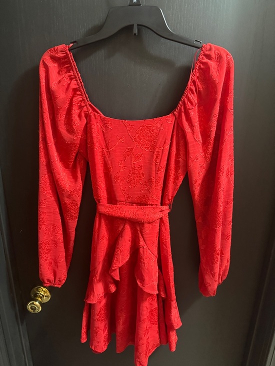 Francesca's Collections Dresses & Skirts - Francesca's Collections Red Floral Jacquard Long-Sleeve Mini Dress